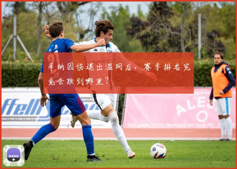 辛纳因伤退出温网后,赛季排名究竟会跌到哪里?